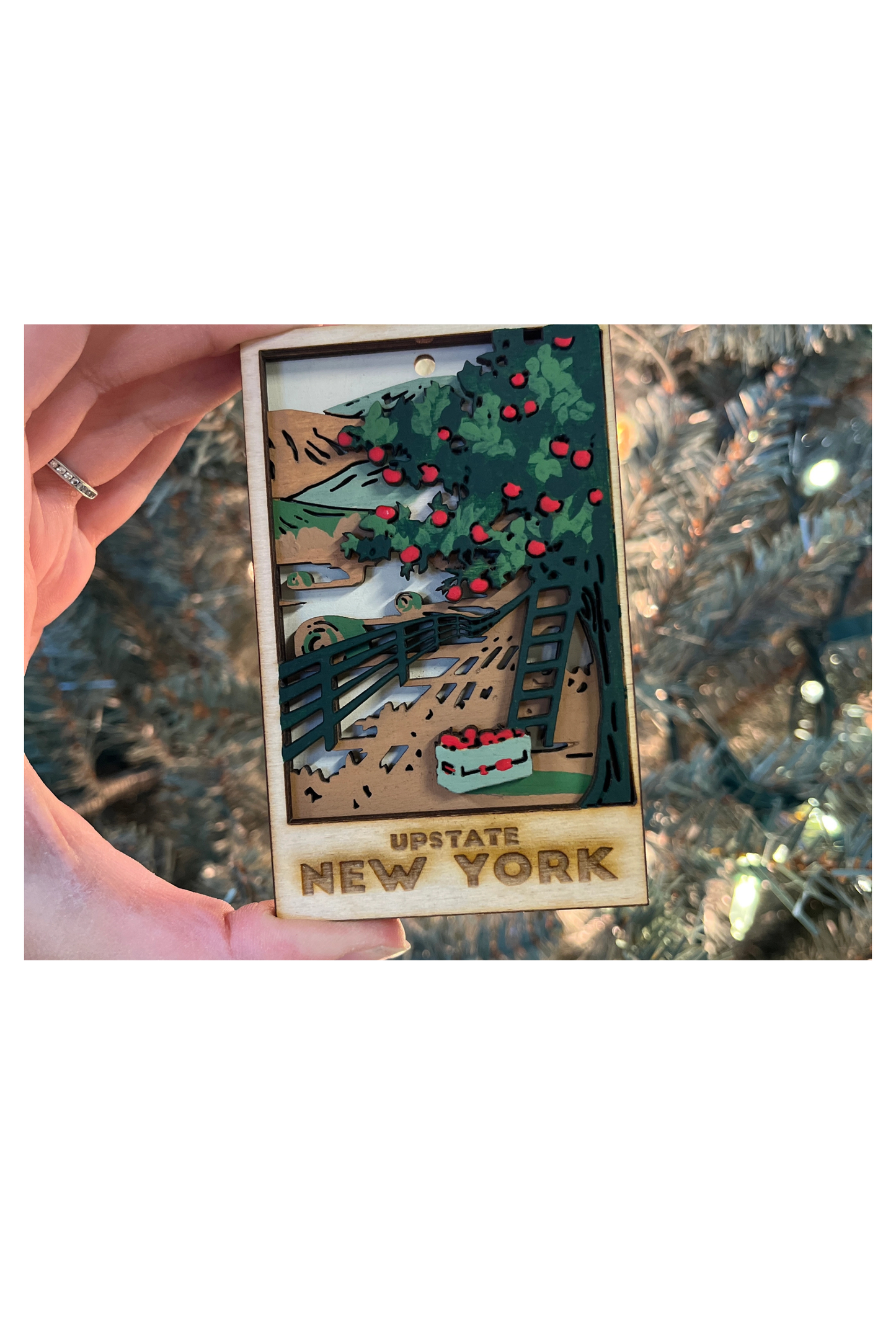 Holiday Ornament- Hudson Valley apple-picking theme